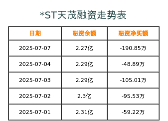 天茂集团融资表