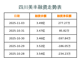 四川美丰融资表