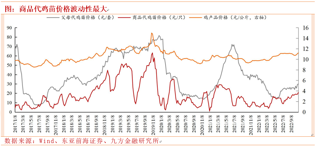 民和股份：商品代白羽鸡苗龙头业绩有望爆发式增长_九方智投