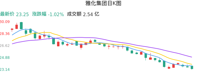 整体分析-日k图:雅化集团股票整体分析报告