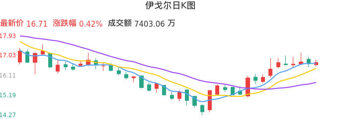 整体分析-日k图:伊戈尔股票整体分析报告