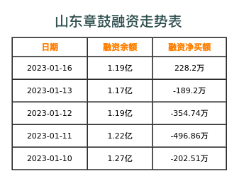 山东章鼓融资表