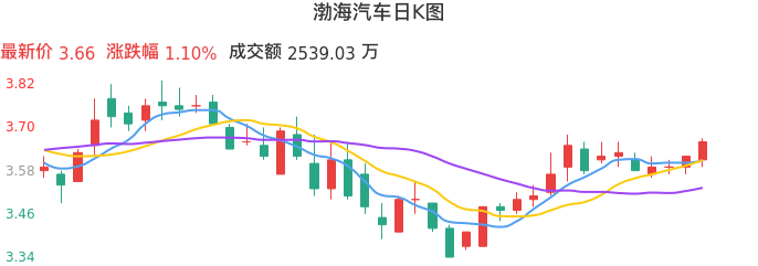 整体分析-日K图：渤海汽车股票整体分析报告