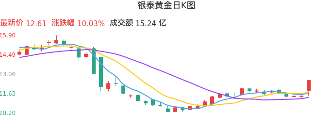 整体分析-日K图：银泰黄金股票整体分析报告