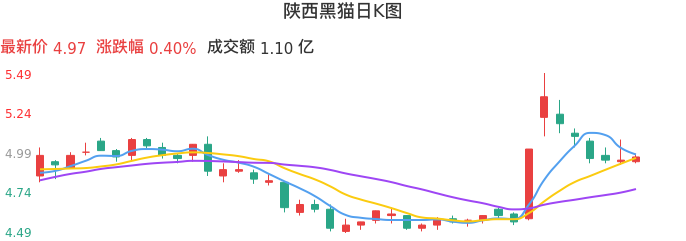 整体分析-日K图：陕西黑猫股票整体分析报告