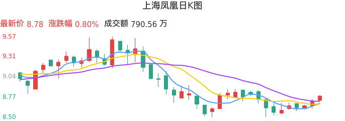 整体分析-日K图：上海凤凰股票整体分析报告