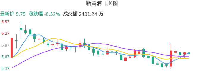 整体分析-日K图：新黄浦股票整体分析报告