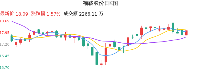 整体分析-日K图：福鞍股份股票整体分析报告