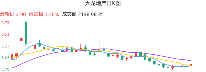 整体分析-日K图：大龙地产股票整体分析报告