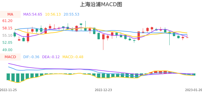 技术面-筹码分布、MACD图：上海沿浦股票技术面分析报告