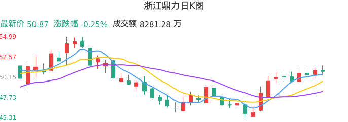 整体分析-日K图：浙江鼎力股票整体分析报告