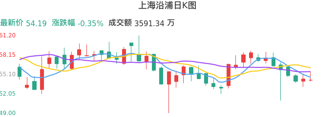整体分析-日K图：上海沿浦股票整体分析报告