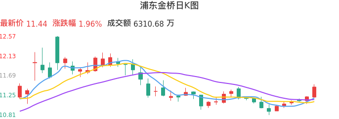 整体分析-日K图：浦东金桥股票整体分析报告