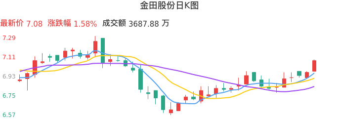 整体分析-日K图：金田股份股票整体分析报告