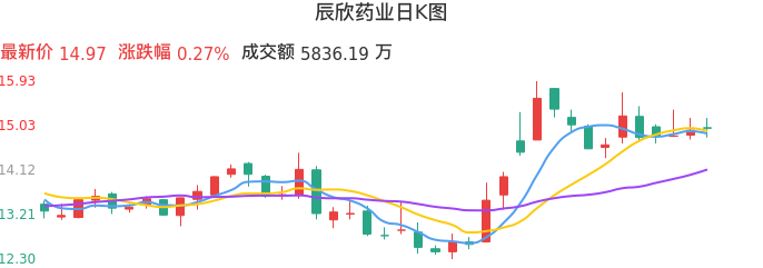 整体分析-日K图：辰欣药业股票整体分析报告