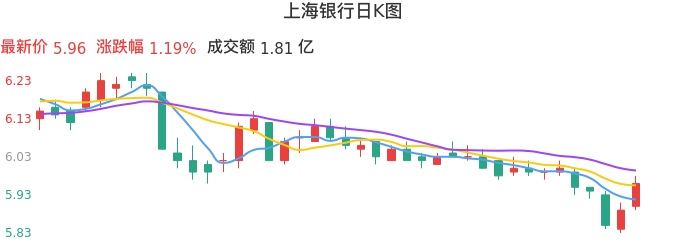 整体分析-日K图：上海银行股票整体分析报告