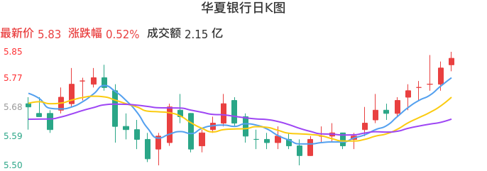 整体分析-日K图：华夏银行股票整体分析报告