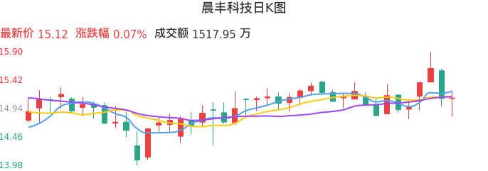 整体分析-日K图:晨丰科技股票整体分析报告
