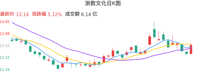 整体分析-日K图：浙数文化股票整体分析报告