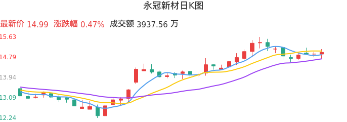 整体分析-日K图：永冠新材股票整体分析报告