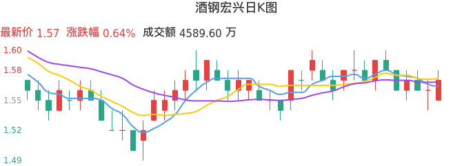 整体分析-日K图：酒钢宏兴股票整体分析报告