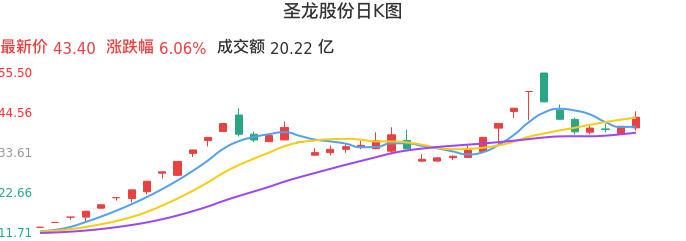 整体分析-日K图:圣龙股份股票整体分析报告