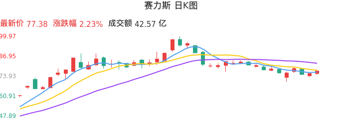 整体分析-日K图：赛力斯股票整体分析报告