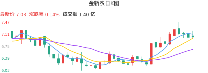 整体分析-日K图：金新农股票整体分析报告