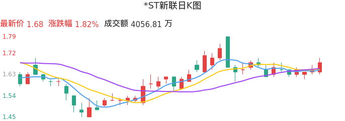 整体分析-日K图：*ST新联股票整体分析报告