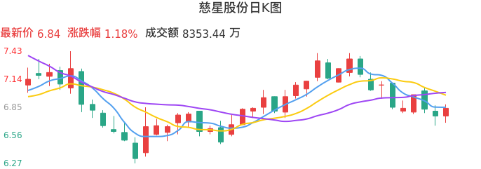 整体分析-日K图：慈星股份股票整体分析报告