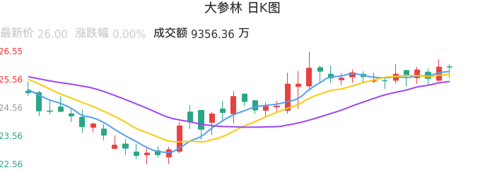 整体分析-日K图：大参林股票整体分析报告