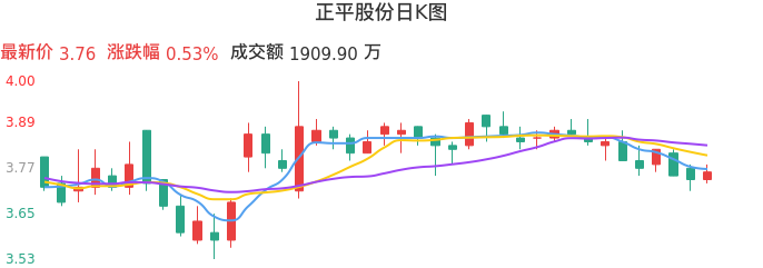 整体分析-日K图：正平股份股票整体分析报告