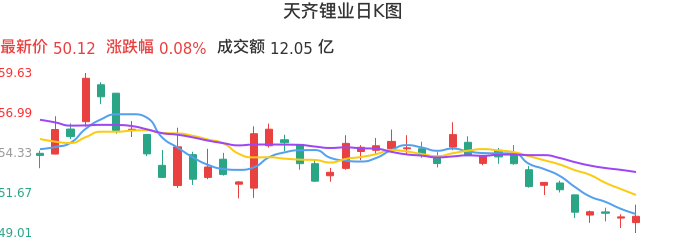 整体分析-日K图：天齐锂业股票整体分析报告
