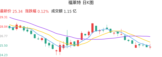 整体分析-日K图：福莱特股票整体分析报告