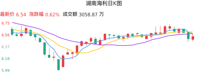整体分析-日K图：湖南海利股票整体分析报告