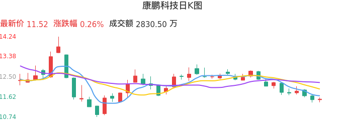 整体分析-日K图：康鹏科技股票整体分析报告