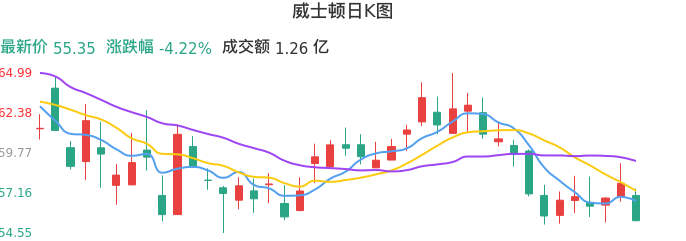 整体分析-日K图：威士顿股票整体分析报告