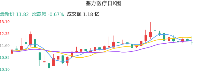 整体分析-日K图：塞力医疗股票整体分析报告