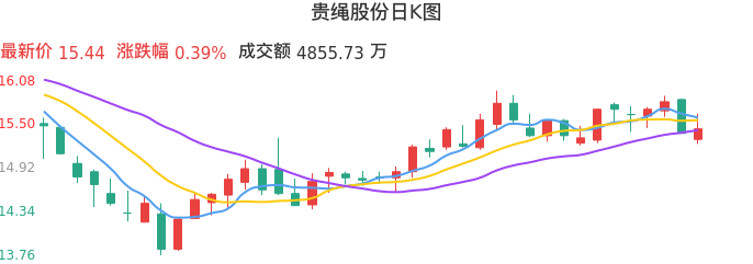 整体分析-日K图：贵绳股份股票整体分析报告