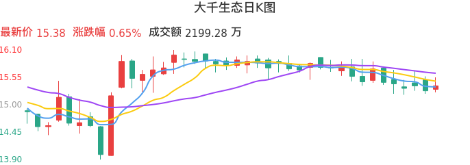 整体分析-日K图：大千生态股票整体分析报告