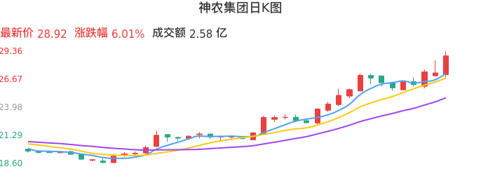 整体分析-日K图:神农集团股票整体分析报告