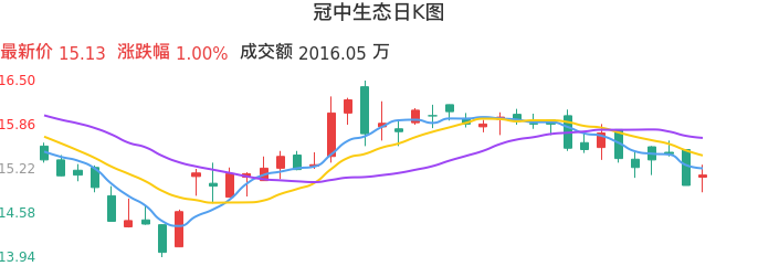 整体分析-日K图:冠中生态股票整体分析报告