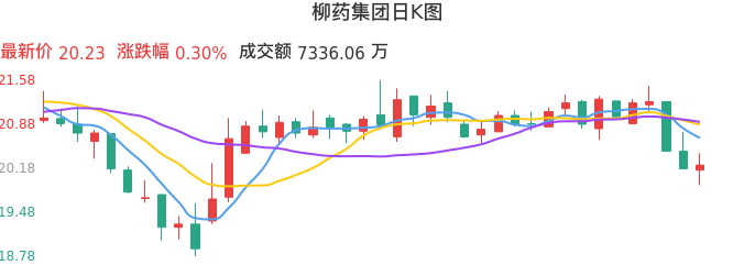 整体分析-日K图：柳药集团股票整体分析报告