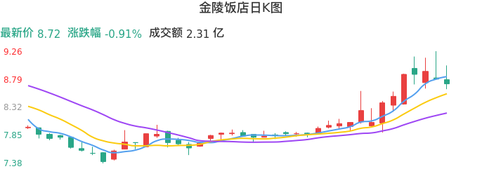 整体分析-日K图:金陵饭店股票整体分析报告