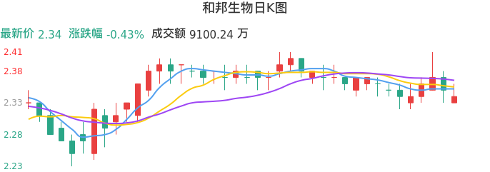 整体分析-日K图:和邦生物股票整体分析报告