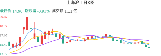 整体分析-日K图：上海沪工股票整体分析报告