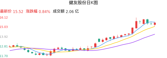 整体分析-日K图：健友股份股票整体分析报告