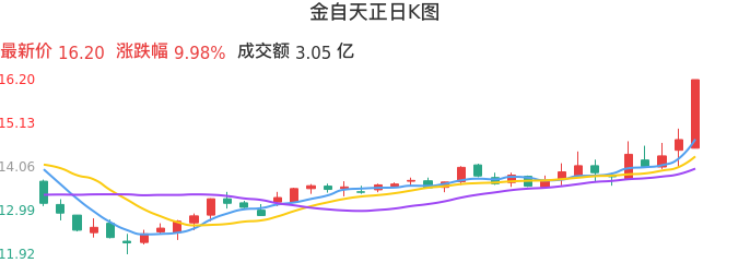 整体分析-日K图：金自天正股票整体分析报告