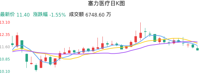 整体分析-日K图:塞力医疗股票整体分析报告