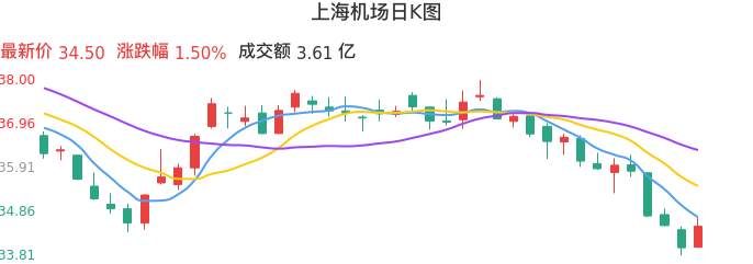 整体分析-日K图：上海机场股票整体分析报告